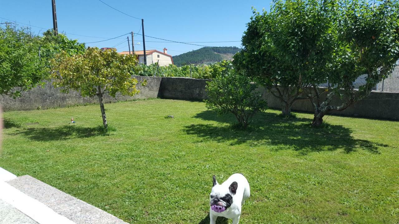 Casa de camp Oscar *