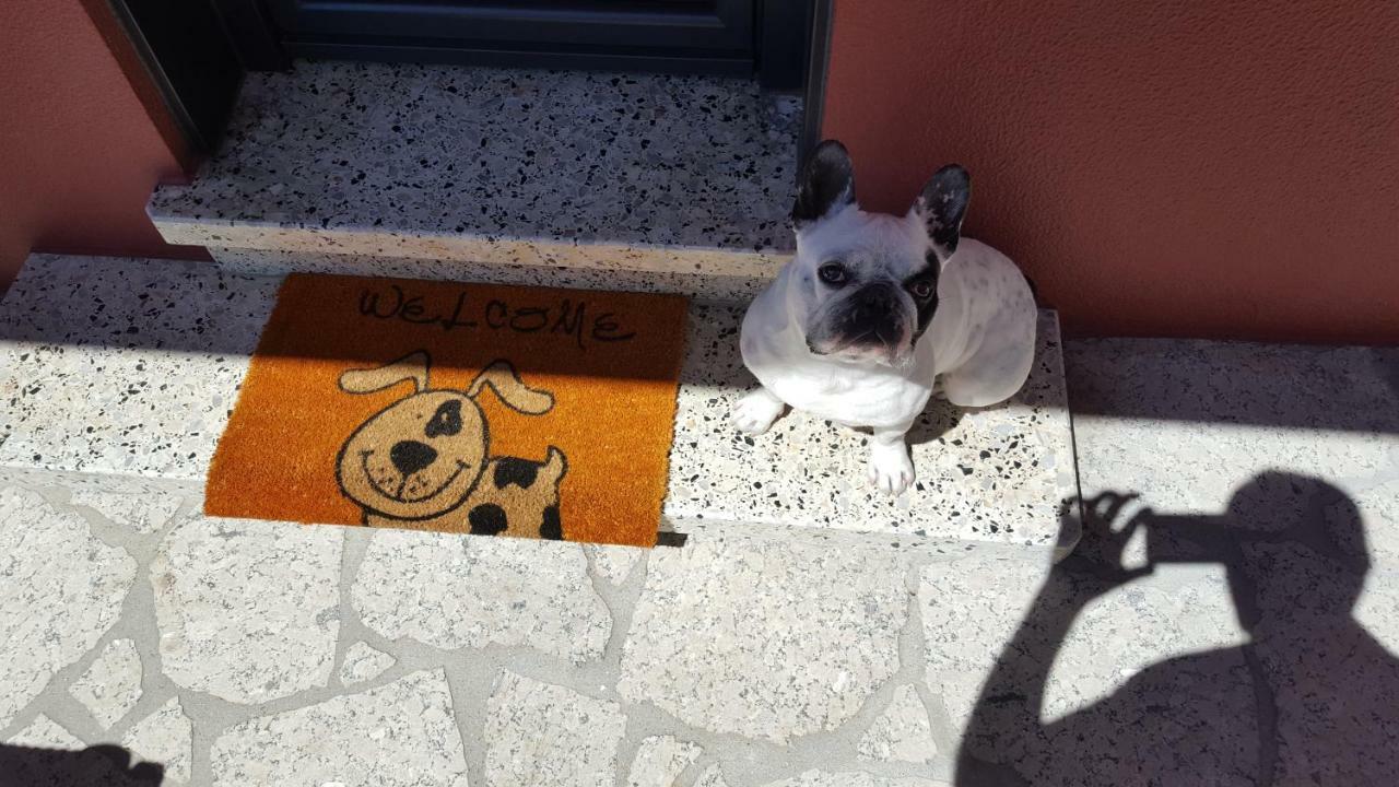 Casa de camp Oscar Baiona